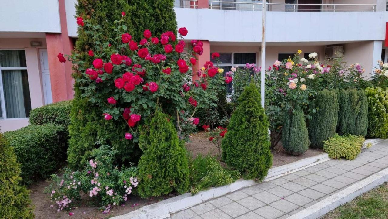 Бутикови Студиа Брита 克兰内沃 外观 照片